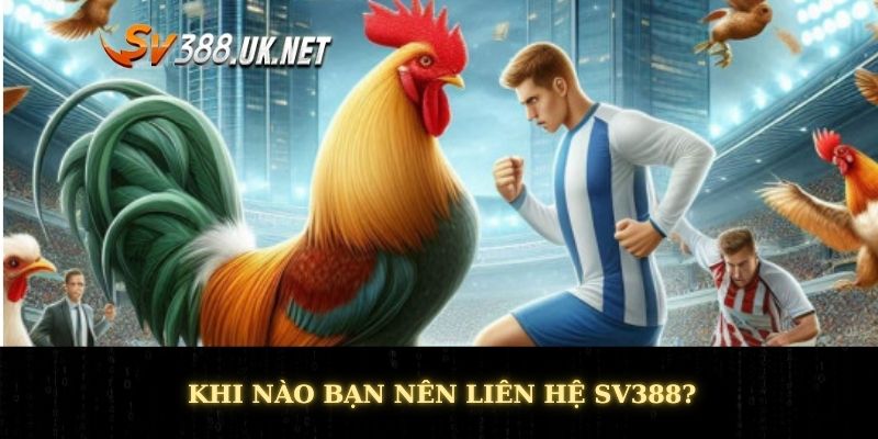 Khi nào bạn nên liên hệ SV388?