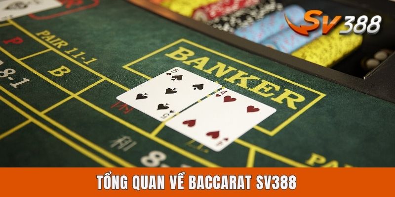 Tổng quan về Baccarat Sv388