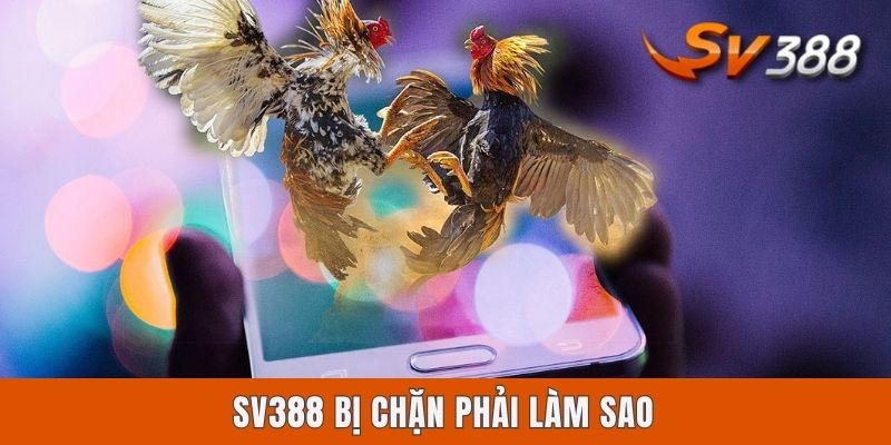 Sv388 Bị Chặn Phải Làm Sao? Cách Xử Lý Chuẩn Nhất Cho Newbie SV388 Bị Chặn Phải Làm Sao? Cách Xử Lý Chuẩn Nhất Cho Newbie