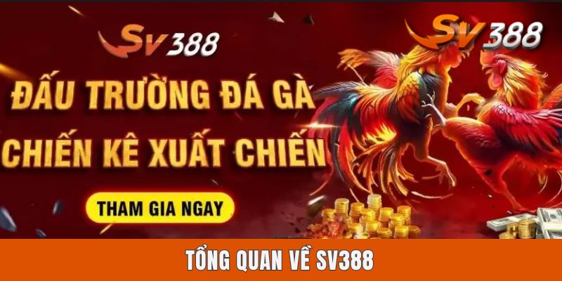 Tại Sao Nên Chọn Sv388? Sân Chơi Uy Tín Không Nên Bỏ Lỡ Tổng quan về Sv388